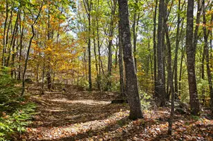 23 Cummings Hill Rd, Temple, ME 04984 - Photo 60