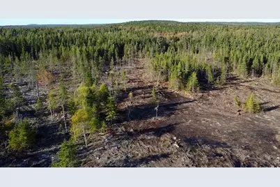 Map 06 Lots #16,16-2,16-3 Cutler Road, Cutler, ME 04626 - Photo 8