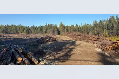 Map 06 Lots #16,16-2,16-3 Cutler Road, Cutler, ME 04626 - Photo 20