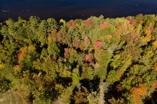 Map3Lot38B Main Rd, Passadumkeag, ME 04475 - Photo 44