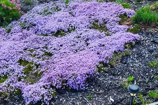 28 Messina Dr, Skowhegan, ME 04976 - Photo 16