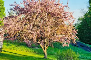 28 Messina Dr, Skowhegan, ME 04976 - Photo 8