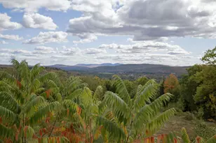 54 Wahl Rd, Springfield, ME 04947 - Photo 90