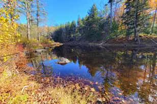 17 Treetop Ln, Jay, ME 04239 - Photo 98