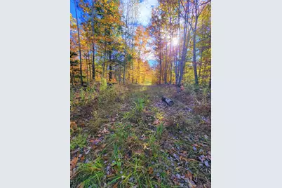 17 Treetop Lane, Jay, ME 04239 - Photo 100