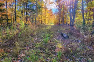 17 Treetop Ln, Jay, ME 04239 - Photo 100