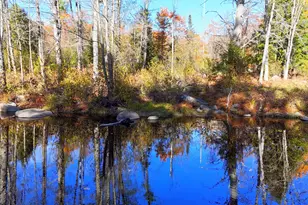 17 Treetop Ln, Jay, ME 04239 - Photo 96