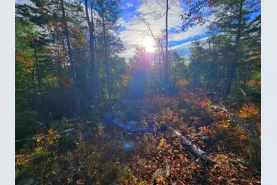 17 Treetop Lane, Jay, ME 04239 - Photo 104
