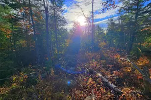 17 Treetop Ln, Jay, ME 04239 - Photo 104