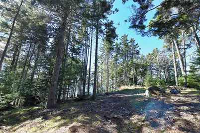 Lot 6 Sunset Road, Brooksville, ME 04617 - Photo 34