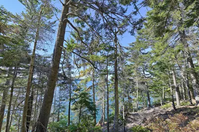 Lot 6 Sunset Road, Brooksville, ME 04617 - Photo 30