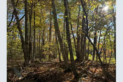 00 Ross Hill Road, Saint Albans, ME 04971 - Photo 8