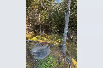Lot 25 H Boot Cove Road, Lubec, ME 04652 - Photo 12