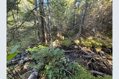 Lot 25 H Boot Cove Road, Lubec, ME 04652 - Photo 24
