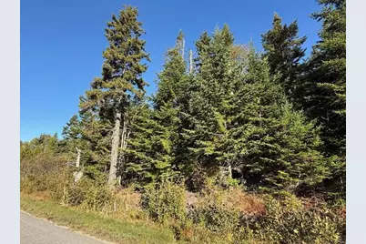 Lot 25 H Boot Cove Road, Lubec, ME 04652 - Photo 2