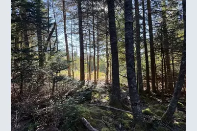 Lot 25 H Boot Cove Road, Lubec, ME 04652 - Photo 20