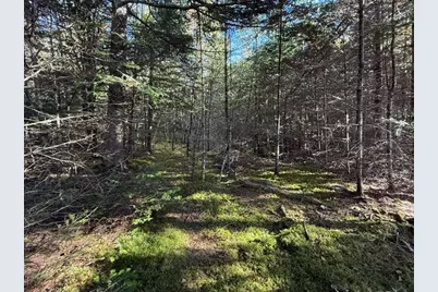 Lot 25 H Boot Cove Road, Lubec, ME 04652 - Photo 18