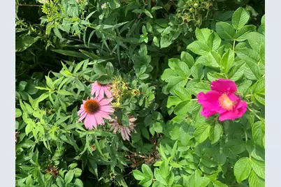 18 Belgrade Road, Oakland, ME 04963 - Photo 50