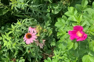 18 Belgrade Rd, Oakland, ME 04963 - Photo 50