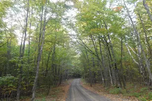 31 Swan Ln, Dexter, ME 04930 - Photo 90