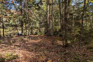 755 Winslows Mills Road N, Waldoboro, ME 04572 - Photo 8