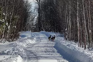 019 Bear Ln, Rumford, ME 04276 - Photo 72