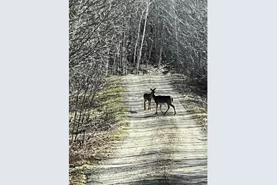 019 Lower Bear Lane, Rumford, ME 04276 - Photo 42