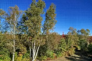 717 Crystal Rd, Crystal, ME 04747 - Photo 62