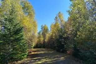 717 Crystal Rd, Crystal, ME 04747 - Photo 72