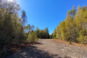 717 Crystal Rd, Crystal, ME 04747 - Photo 70