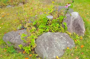 9 Jerry's Rd, Masardis, ME 04732 - Photo 12