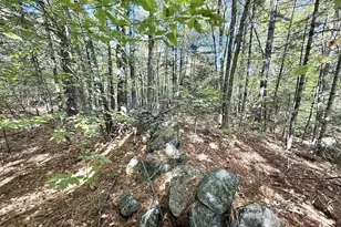 M19 L6-6 Tuell Hill Rd, Sumner, ME 04292 - Photo 1