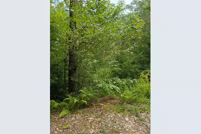 R13/038 Weeks Road, Parsonsfield, ME 04047 - Photo 2