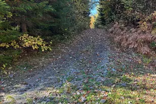 M1/L1-3 Bowerbank Rd, Bowerbank, ME 04426 - Photo 28