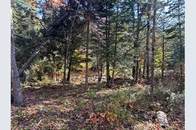 M1/L1-3 Bowerbank Road, Bowerbank, ME 04426 - Photo 4