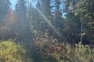 M1/L1-3 Bowerbank Rd, Bowerbank, ME 04426 - Photo 10