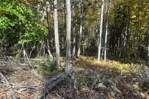 75 Twin Oaks Dr, Saint Albans, ME 04971 - Photo 4