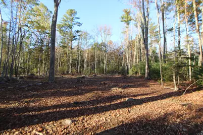 53-03 Race Course Road, Bucksport, ME 04416 - Photo 4