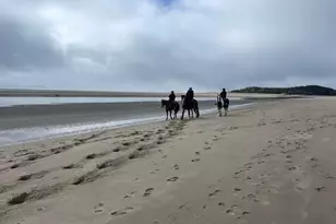 823 Popham Rd, Phippsburg, ME 04562 - Photo 64