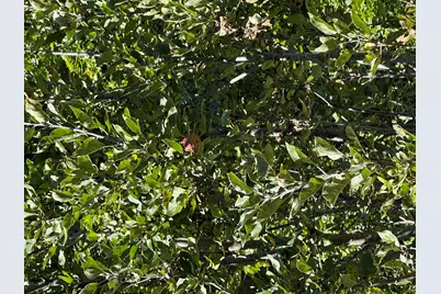 879 Hudson Road, Glenburn, ME 04401 - Photo 48