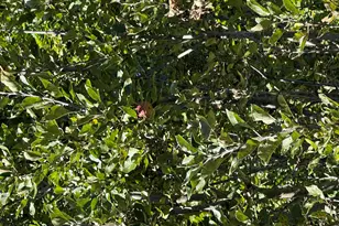 879 Hudson Rd, Glenburn, ME 04401 - Photo 48