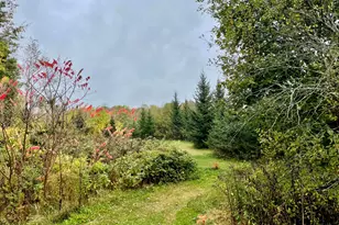 879 Hudson Rd, Glenburn, ME 04401 - Photo 60