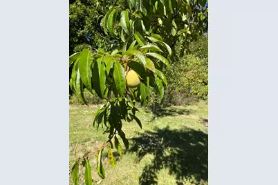 879 Hudson Road, Glenburn, ME 04401 - Photo 52