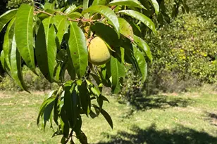 879 Hudson Rd, Glenburn, ME 04401 - Photo 52