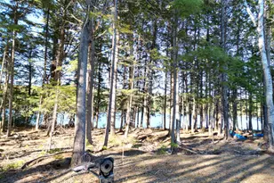 40 Trails End, Lincoln, ME 04457 - Photo 30