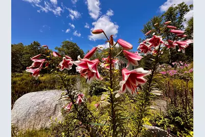 359 Lower Round Pond Road, Bristol, ME 04539 - Photo 22