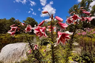 359 Lower Round Pond Rd, Bristol, ME 04539 - Photo 22