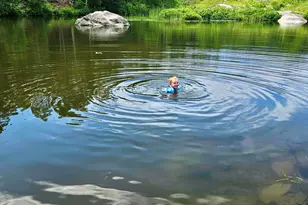 359 Lower Round Pond Rd, Bristol, ME 04539 - Photo 14