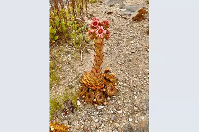 359 Lower Round Pond Road, Bristol, ME 04539 - Photo 32