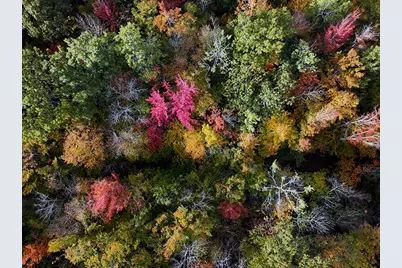 20 Kittridge Brook Road, West Paris, ME 04289 - Photo 8